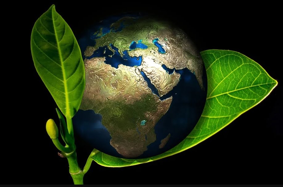 COMO É TER UMA EMPRESA SUSTENTÁVEL NO SÉCULO 21 1 COMO É TER UMA EMPRESA SUSTENTÁVEL NO SÉCULO 21