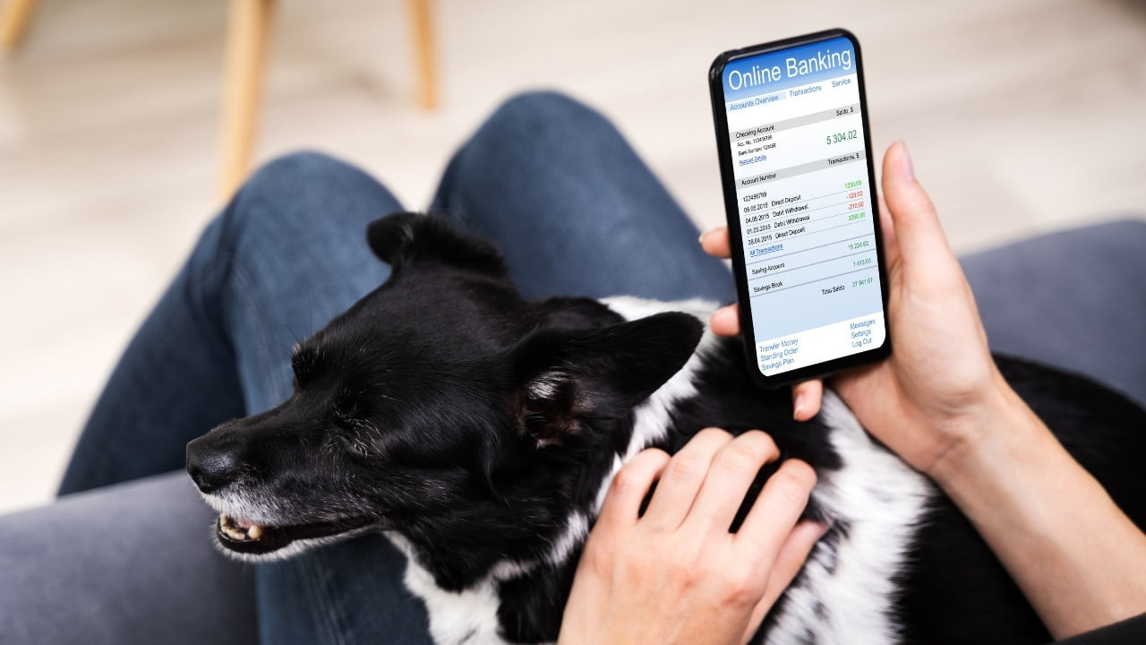 Como manter os aplicativos de bancos digitais seguros